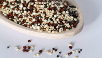 Bahis Oynamak Neden Seni Daha Agresif Yapıyor?
