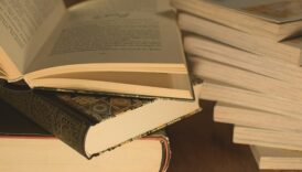Bahis Oynamayı Bırakınca Beynin Nasıl Değişir?