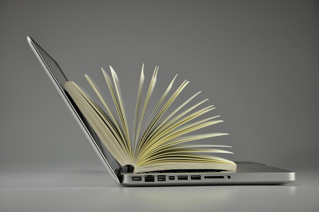 Online Bahis ve Siber Dolandırıcılık Online Bahis ve Siber Dolandırıcılık